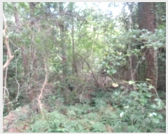  2024Ÿ��32060 ���� ���ֽ� �Ѹ��� �ݾǸ� 893-1      ����(�Ӿ�)���