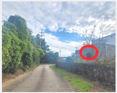  2024Ÿ32169   ǥ ǥ 2498-14      ð