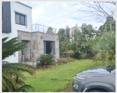  2024Ÿ32169   ǥ ǥ 2498-14      ð