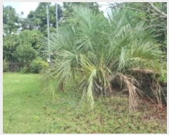  2024Ÿ32169   ǥ ǥ 2498-14      ð