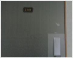  2024Ÿ��32206 ���� ���ֽ� ���� 282-33       �ܵ�����,�����ð��