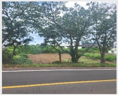  2024Ÿ32428  ֽ õ Դ 3032-1      (1)