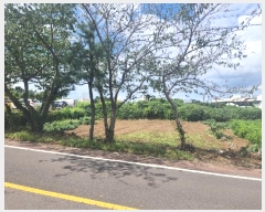  2024Ÿ32428  ֽ õ Դ 3032-1      (1)