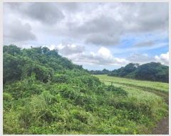  2024Ÿ32428  ֽ õ Դ 3032-1      (1)