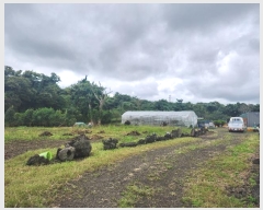  2024Ÿ32428  ֽ õ Դ 3032-1      (1)