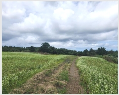  2024Ÿ32428  ֽ õ Դ 3032-1      (1)