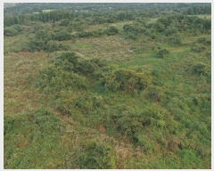  2024Ÿ��33612 ���� ���ֽ� �ֿ��� ������ ��89      ����(�Ӿ�)���