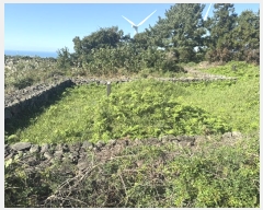  2024Ÿ��33612 ���� ���ֽ� �ֿ��� ������ ��89      ����(�Ӿ�)���