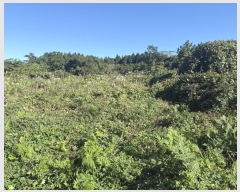  2024Ÿ��33612 ���� ���ֽ� �ֿ��� ������ ��89      ����(�Ӿ�)���