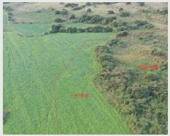  2024Ÿ��33612 ���� ���ֽ� �ֿ��� ������ ��89      ����(�Ӿ�)���