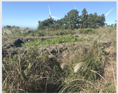  2024Ÿ��33612 ���� ���ֽ� �ֿ��� ������ ��89      ����(�Ӿ�)���