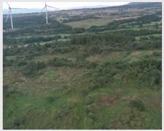  2024Ÿ��33612 ���� ���ֽ� �ֿ��� ������ ��89      ����(�Ӿ�)���