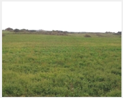  2024Ÿ��33612 ���� ���ֽ� �ֿ��� ������ ��89      ����(�Ӿ�)���