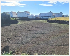  2024Ÿ34073   ȴ 踮 1280      (1)