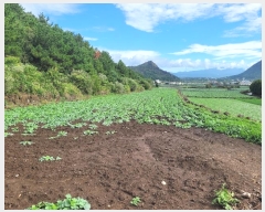  2024Ÿ34073   ȴ 踮 1280      (1)