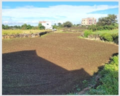  2024Ÿ34073   ȴ 踮 1280      (1)