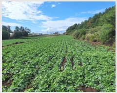  2024Ÿ34073   ȴ 踮 1280      (1)