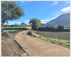  2024Ÿ34073   ȴ 踮 1280      (1)