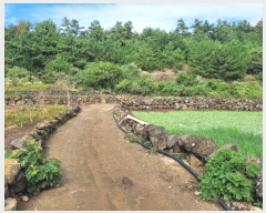  2024Ÿ34073   ȴ 踮 1280      (1)