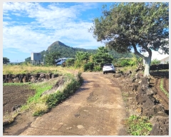  2024Ÿ34073   ȴ 踮 1280      (1)