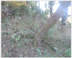  2024Ÿ34707  ֽ ֿ ϸ 1633      (1)