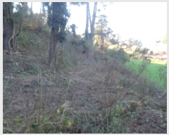  2024Ÿ34707  ֽ ֿ ϸ 1633      (1)