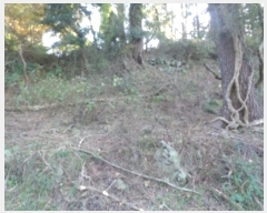  2024Ÿ34707  ֽ ֿ ϸ 1633      (1)