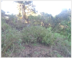  2024Ÿ34707  ֽ ֿ ϸ 1633      (1)