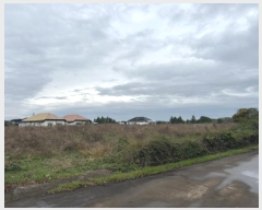  2024Ÿ��35069  �����