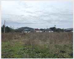  2024Ÿ��35069  �����