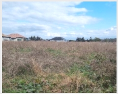  2024Ÿ��35069  �����