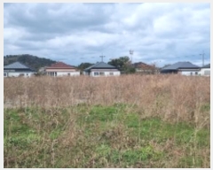  2024Ÿ��35069  �����