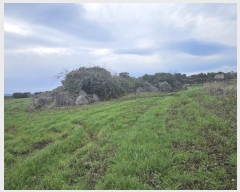  2024Ÿ��35151 ���� ���ֽ� ���ﵿ 2325       ����(��1)���