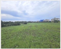  2024Ÿ��35151 ���� ���ֽ� ���ﵿ 2325       ����(��1)���