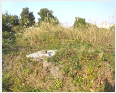  2024Ÿ��35151 ���� ���ֽ� ���ﵿ 2325       ����(��1)���