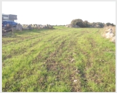  2024Ÿ��35151 ���� ���ֽ� ���ﵿ 2325       ����(��1)���