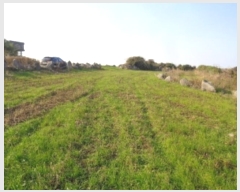  2024Ÿ��35151 ���� ���ֽ� ���ﵿ 2325       ����(��1)���