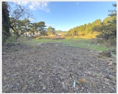  2024Ÿ35526  ֽ õ Դ 72-200      (Ӿ)