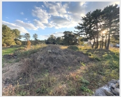  2024Ÿ35526  ֽ õ Դ 72-200      (Ӿ)