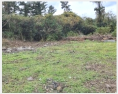  2024Ÿ35526  ֽ õ Դ 72-200      (Ӿ)