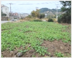  2024Ÿ35526  ֽ õ Դ 72-200      (Ӿ)