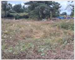  2024Ÿ35526  ֽ õ Դ 72-200      (Ӿ)