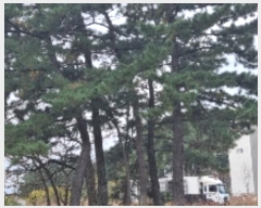  2024Ÿ35526  ֽ õ Դ 72-200      (Ӿ)