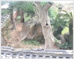  2024Ÿ35694  ֽ  314-10       ð