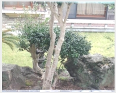  2024Ÿ35694  ֽ  314-10       ð