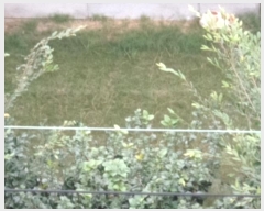  2024Ÿ35694  ֽ  314-10       ð