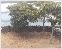  2024Ÿ��36949 ���� ���ֽ� �ֿ��� ������ 38 2��     ���ð��