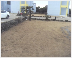  2024Ÿ��36949 ���� ���ֽ� �ֿ��� ������ 38 2��     ���ð��