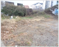  2024Ÿ��37386 ���� ���ֽ� ������ 664-1       ����(����)���