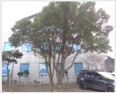  2024Ÿ��37386 ���� ���ֽ� ������ 664-1       ����(����)���